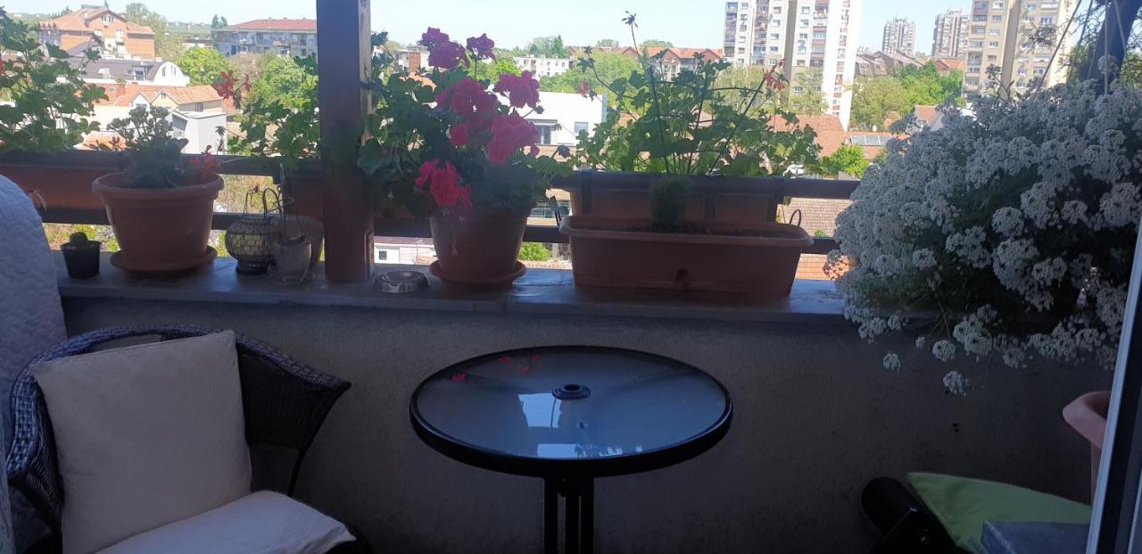 Apartmani Emerald Dream Νόβι Σαντ Εξωτερικό φωτογραφία