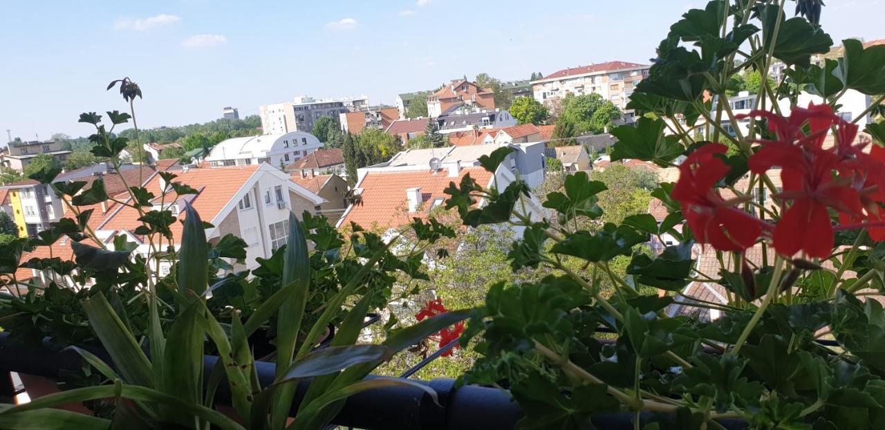 Apartmani Emerald Dream Νόβι Σαντ Εξωτερικό φωτογραφία