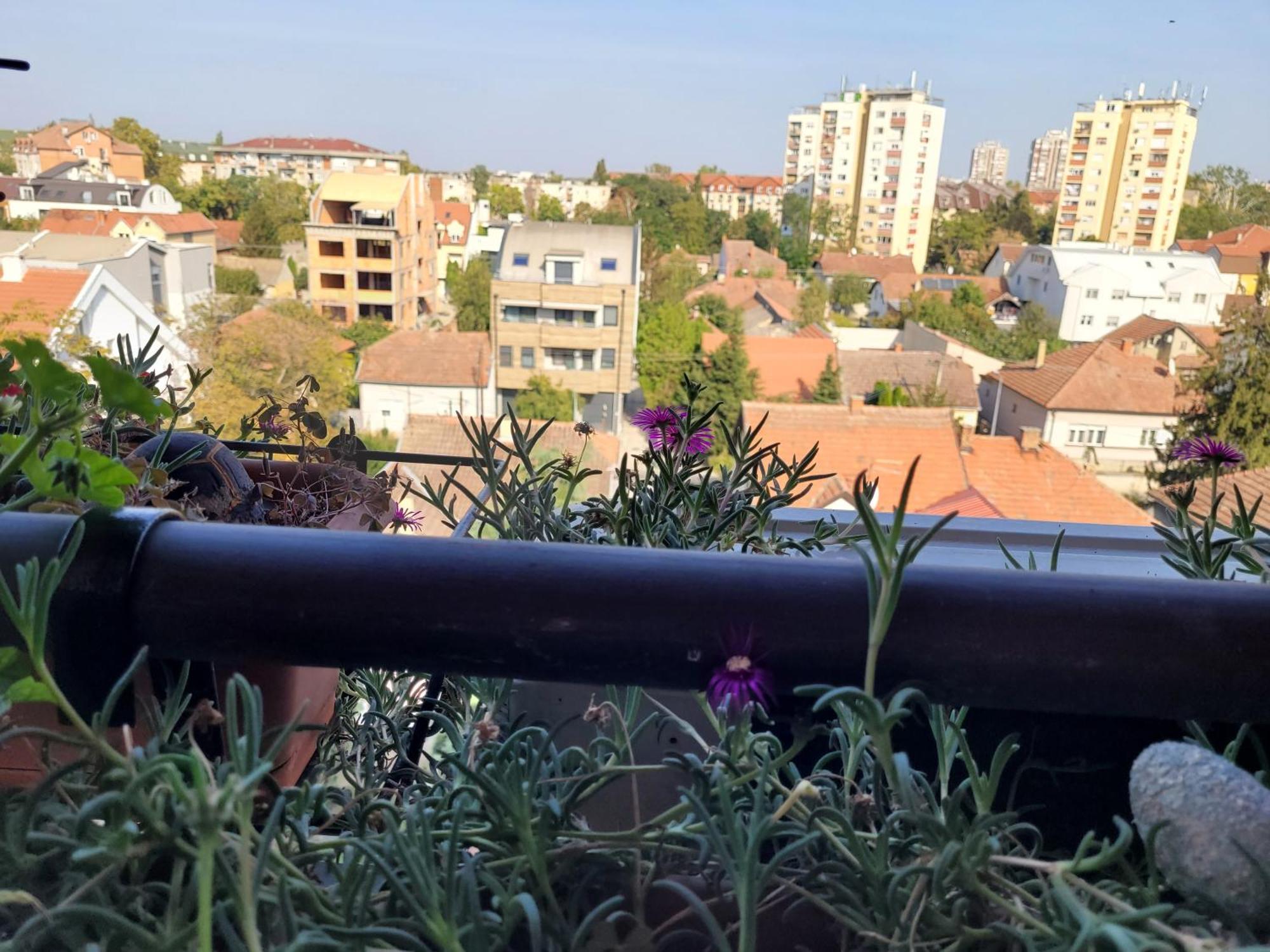 Apartmani Emerald Dream Νόβι Σαντ Εξωτερικό φωτογραφία
